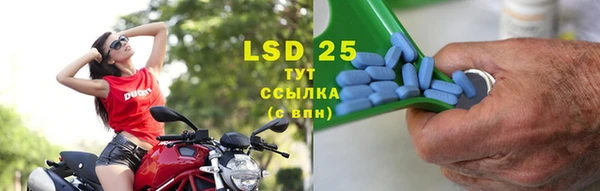 ГАЛЛЮЦИНОГЕННЫЕ ГРИБЫ Лагань