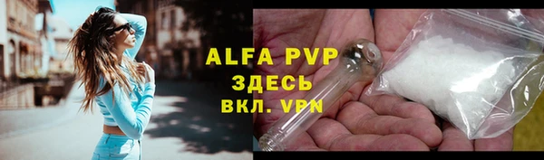 амф Ладушкин