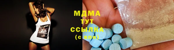 ГАЛЛЮЦИНОГЕННЫЕ ГРИБЫ Лагань