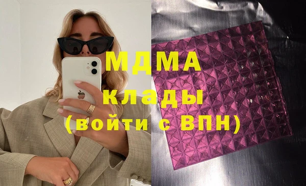 ГАЛЛЮЦИНОГЕННЫЕ ГРИБЫ Лагань