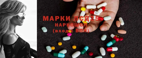 ГАЛЛЮЦИНОГЕННЫЕ ГРИБЫ Лагань