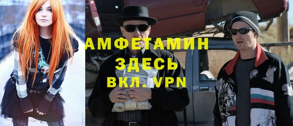 ГАЛЛЮЦИНОГЕННЫЕ ГРИБЫ Лагань