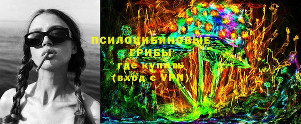 молекула духа Лихославль