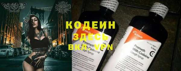 амф Ладушкин