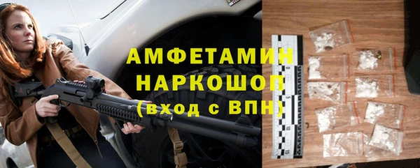 амф Ладушкин