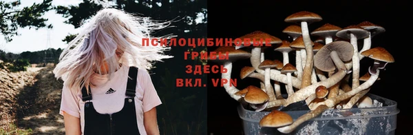 молекула духа Лихославль