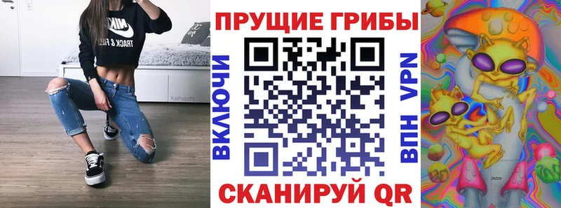 Купить  Называевск  Псилоцибиновые грибы Cubensis 